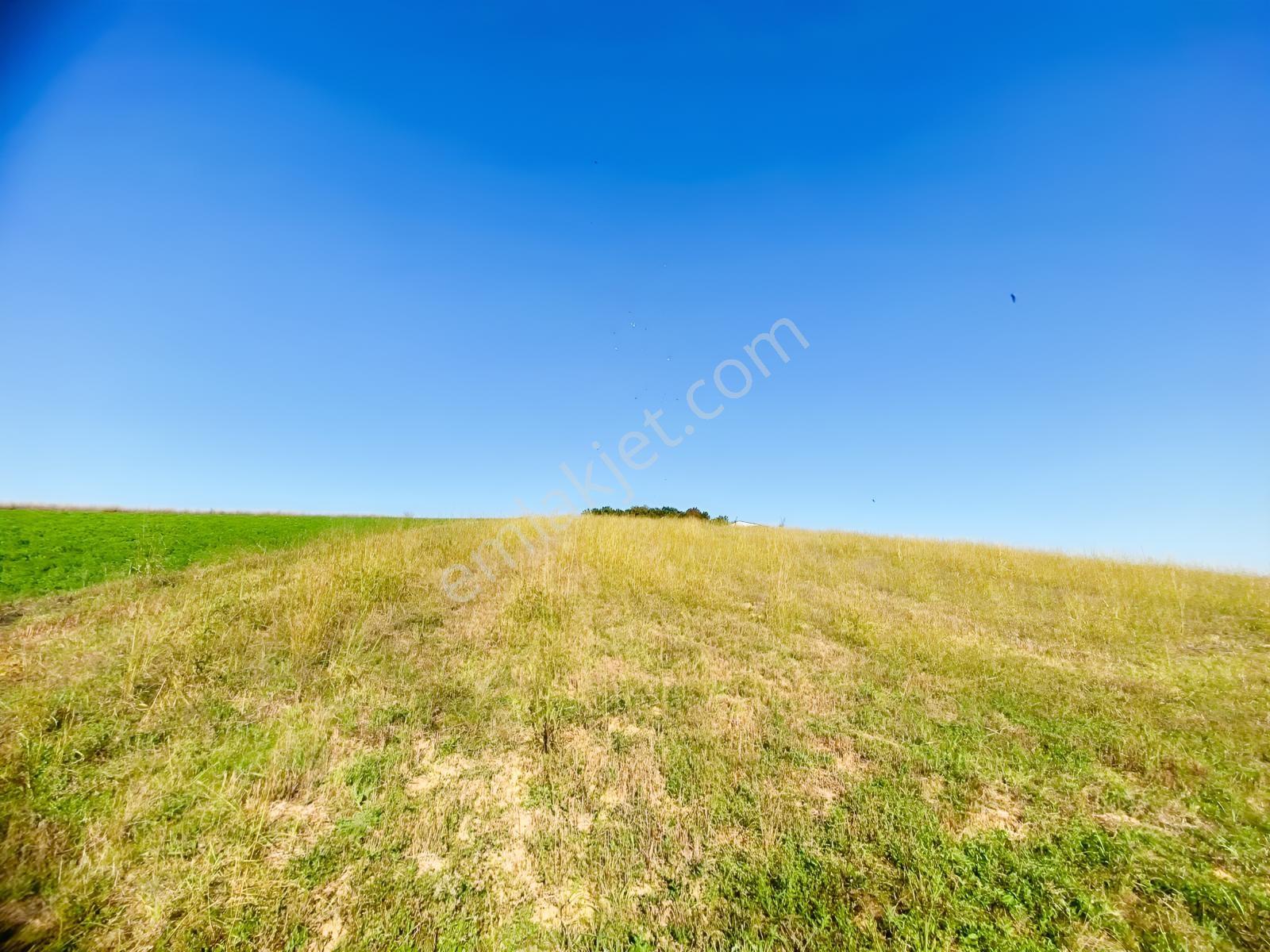Söğütlü Beşdeğirmende Baraj Manzaralı Satılık 11.659 M2 Tarla — fotoğraf 16