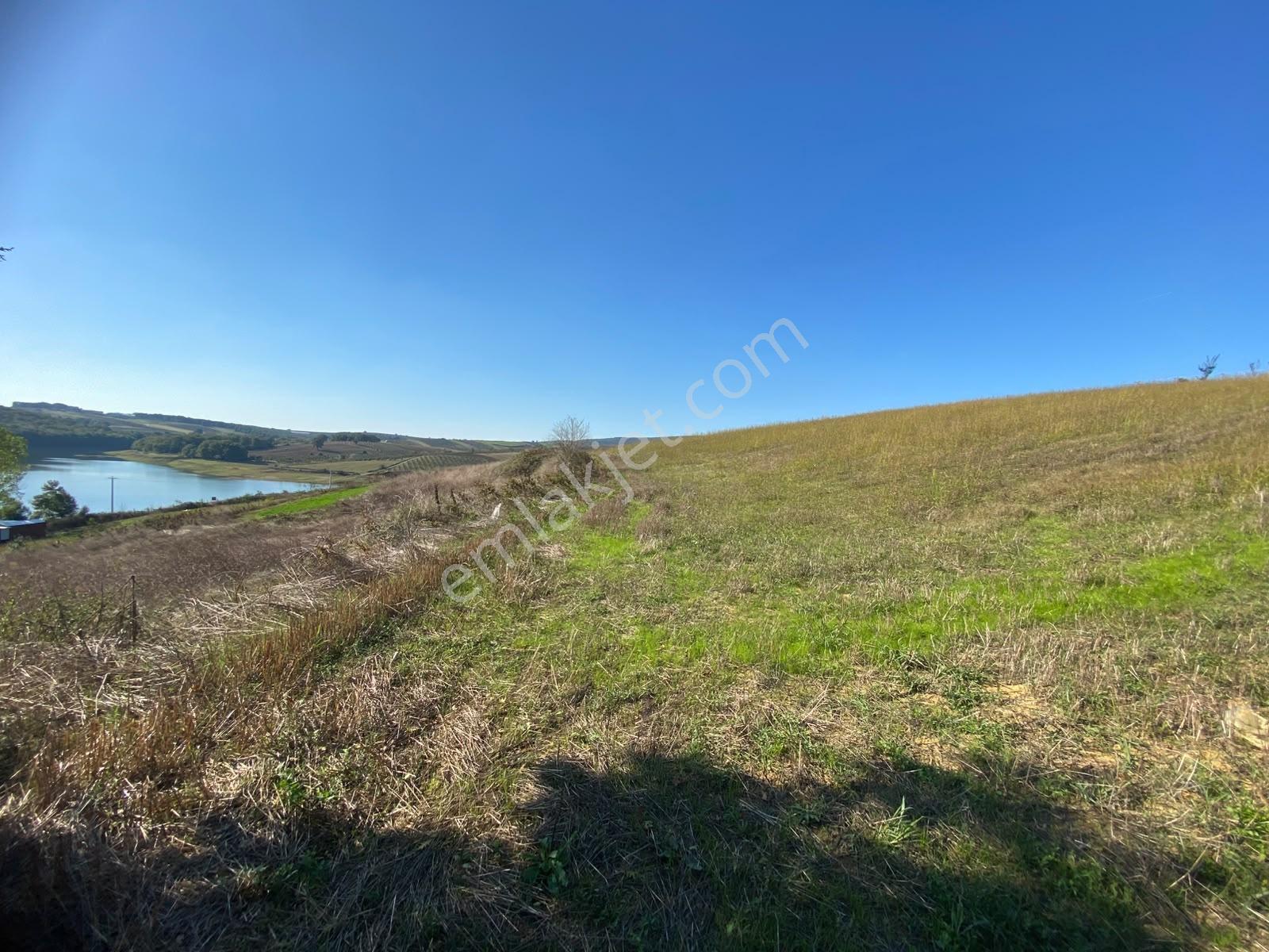 Söğütlü Beşdeğirmende Baraj Manzaralı Satılık 11.659 M2 Tarla — fotoğraf 22