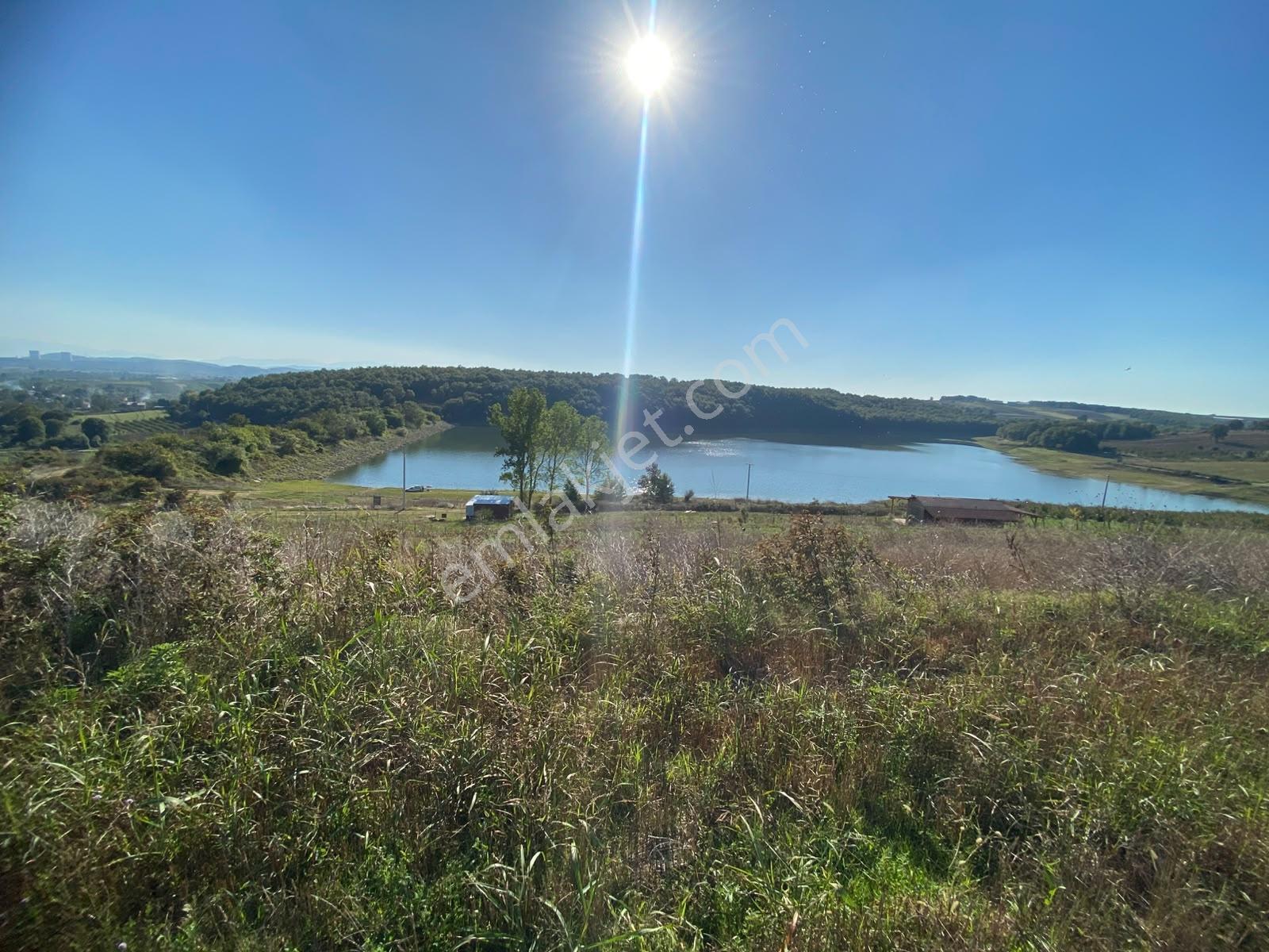 Söğütlü Beşdeğirmende Baraj Manzaralı Satılık 11.659 M2 Tarla — fotoğraf 26