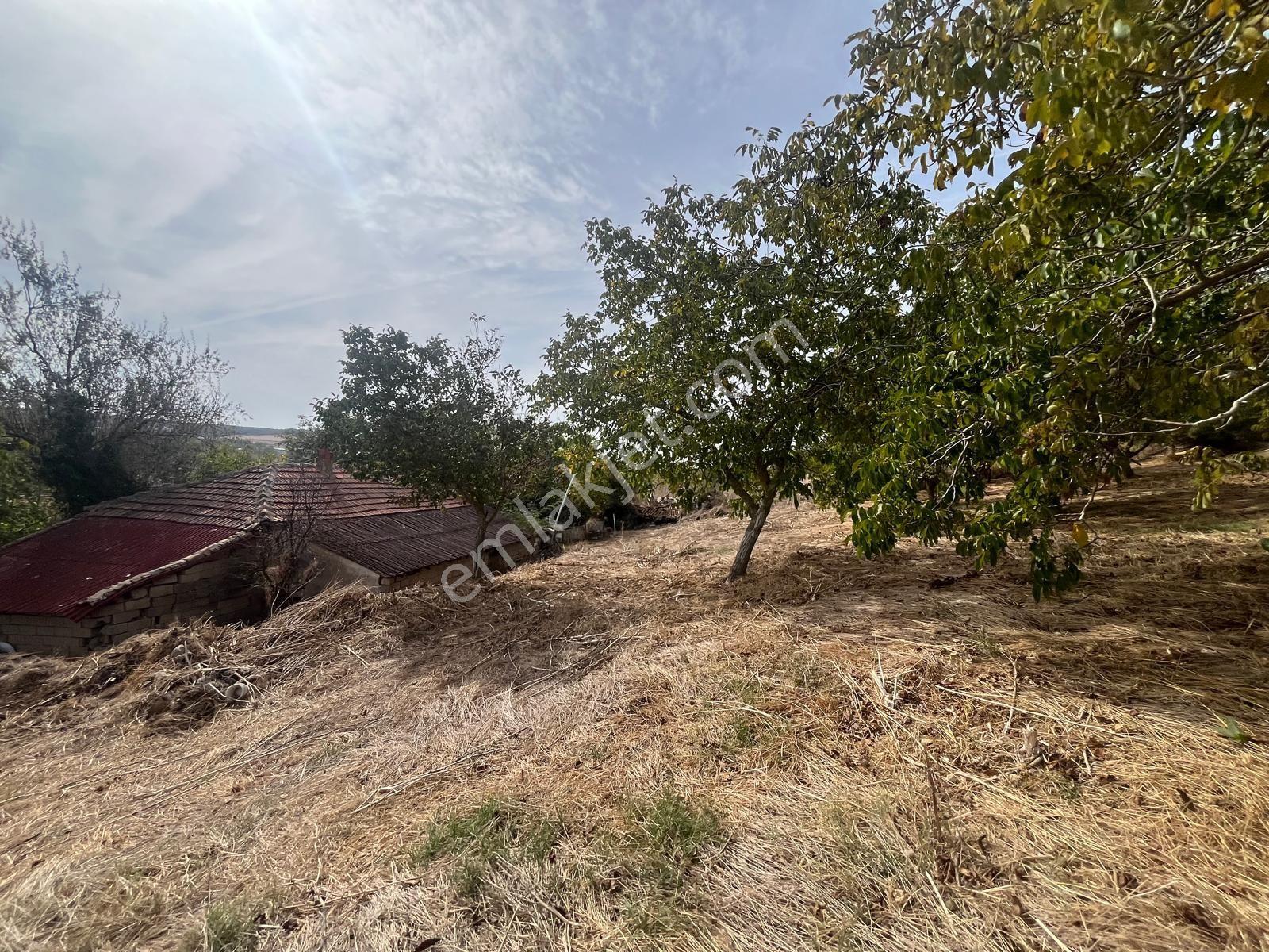 Edirne Havsa Bostanlı Köyü’nde Satılık Arsa Buluruz Emlak’tan — fotoğraf 18
