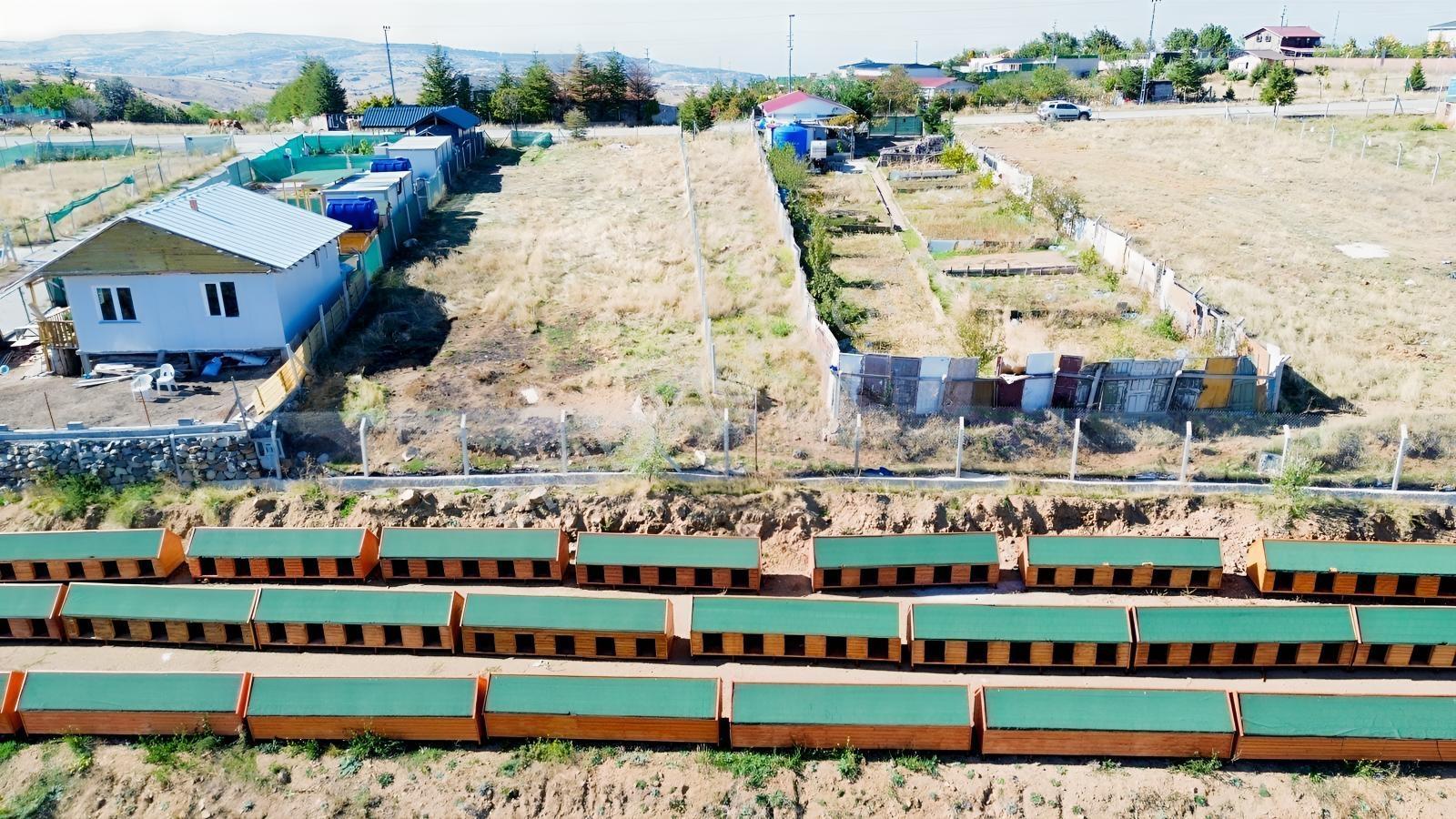 Han'dan Başpınar Mevkiinde Caddeye Cephe Tek Tapu İmarlı Arsa — fotoğraf 13
