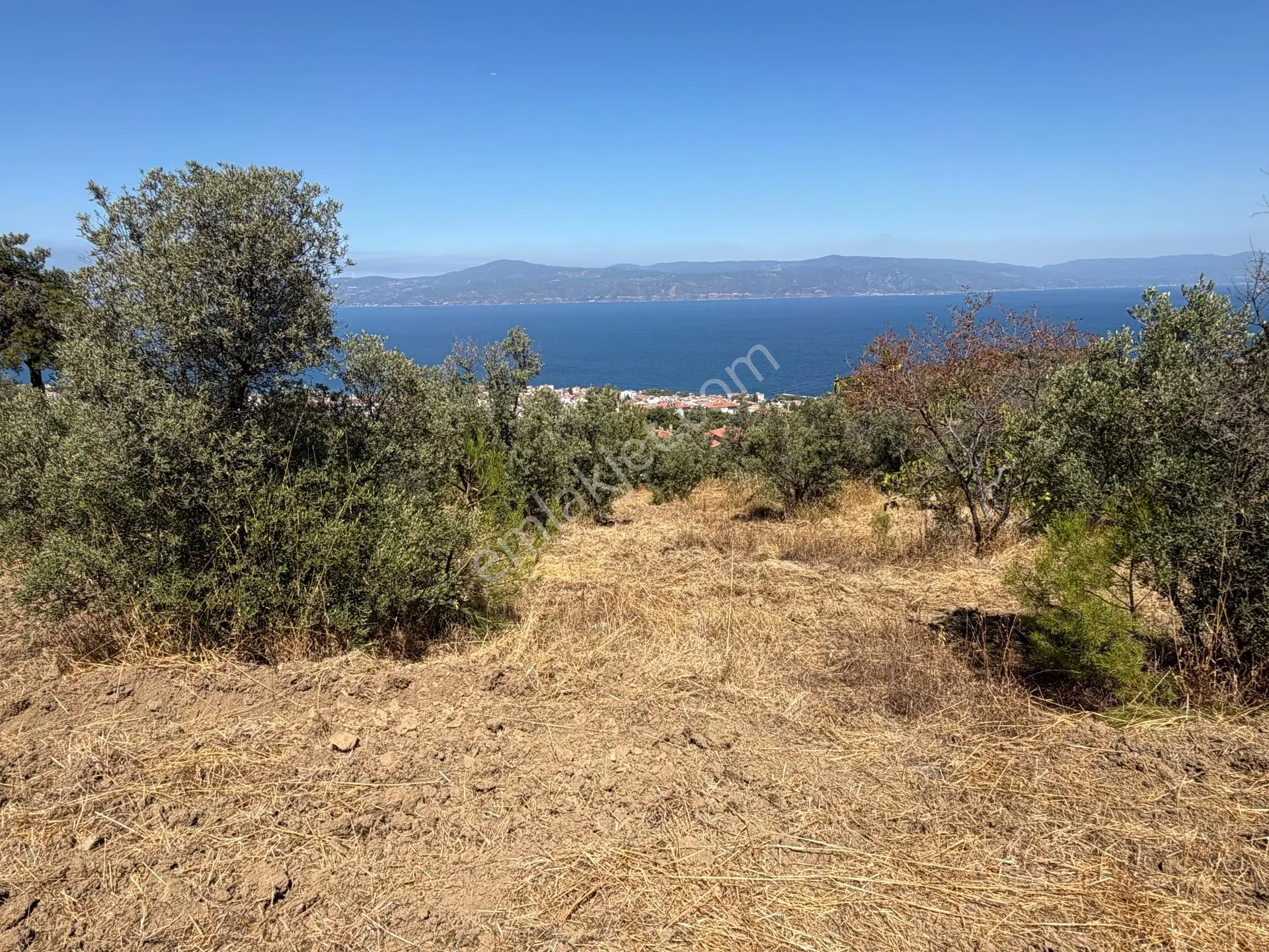 Tırpan Gayrimenkulden Çepnide 1.819m2 Deniz Manzaralı Zeytinlik — fotoğraf 2