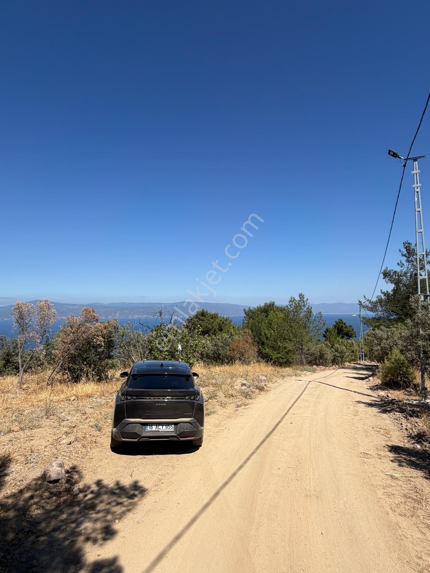 Tırpan Gayrimenkulden Çepnide 1.819m2 Deniz Manzaralı Zeytinlik — fotoğraf 8