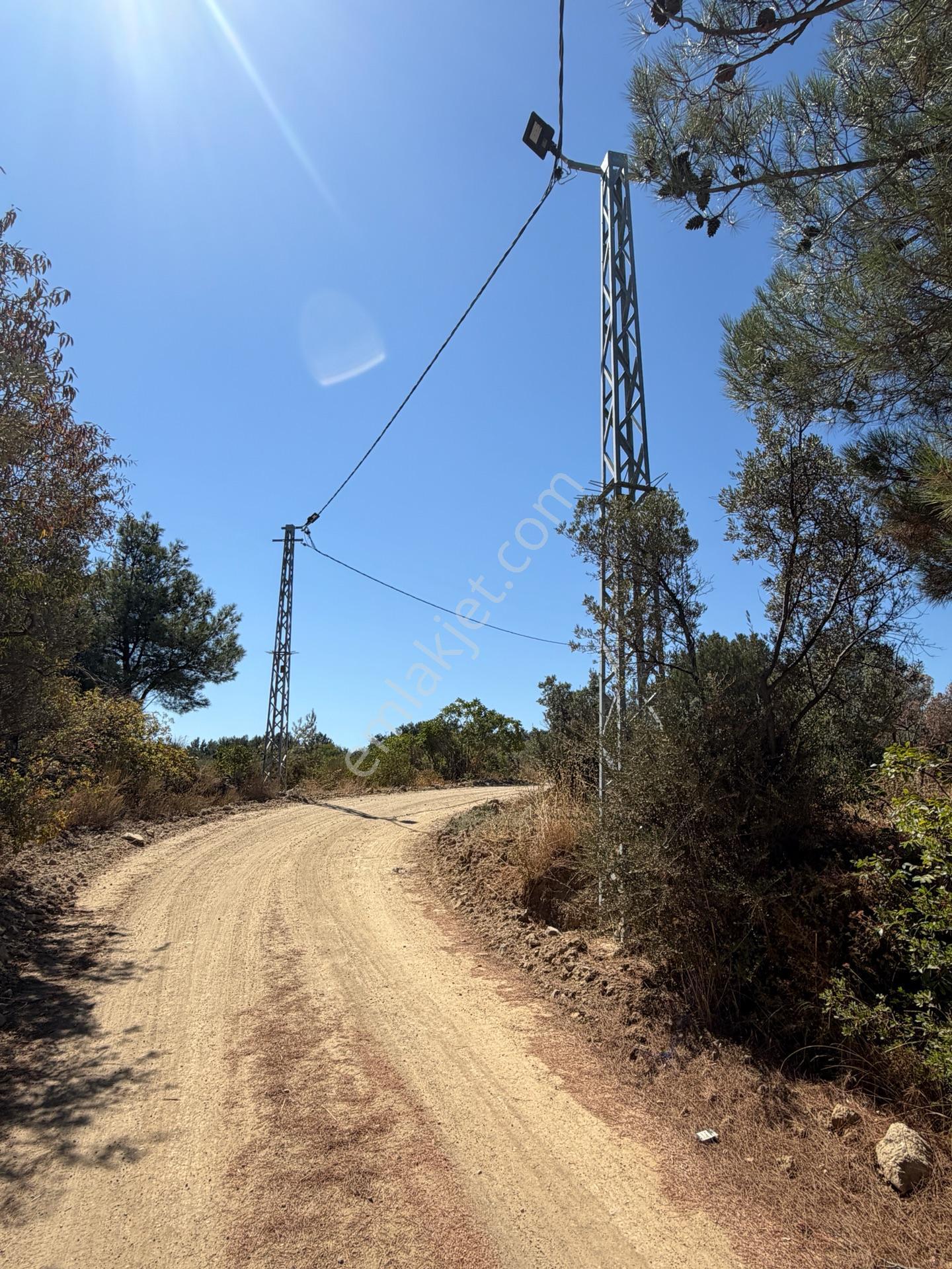 Tırpan Gayrimenkulden Çepnide 1.819m2 Deniz Manzaralı Zeytinlik — fotoğraf 9