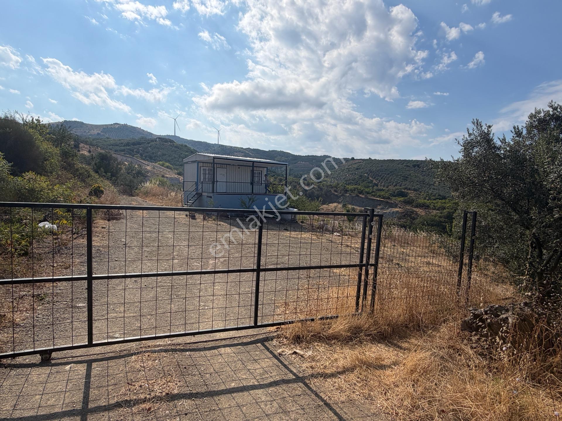 Tırpan Gayrimenkulden Çepnide 1.819m2 Deniz Manzaralı Zeytinlik — fotoğraf 11