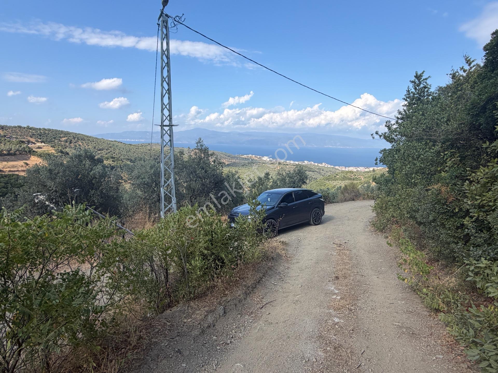 Tırpan Gayrimenkulden Çepnide 1.819m2 Deniz Manzaralı Zeytinlik — fotoğraf 12