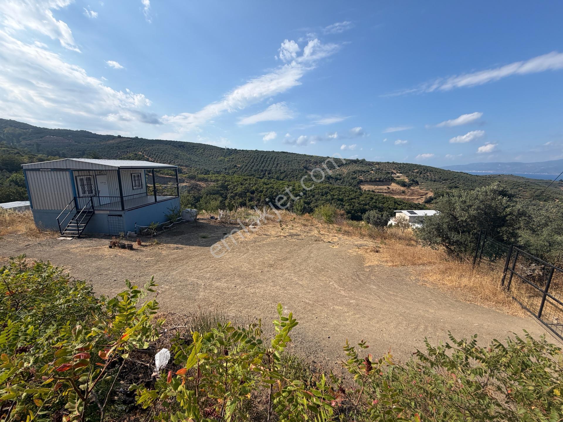 Tırpan Gayrimenkulden Çepnide 1.819m2 Deniz Manzaralı Zeytinlik — fotoğraf 13