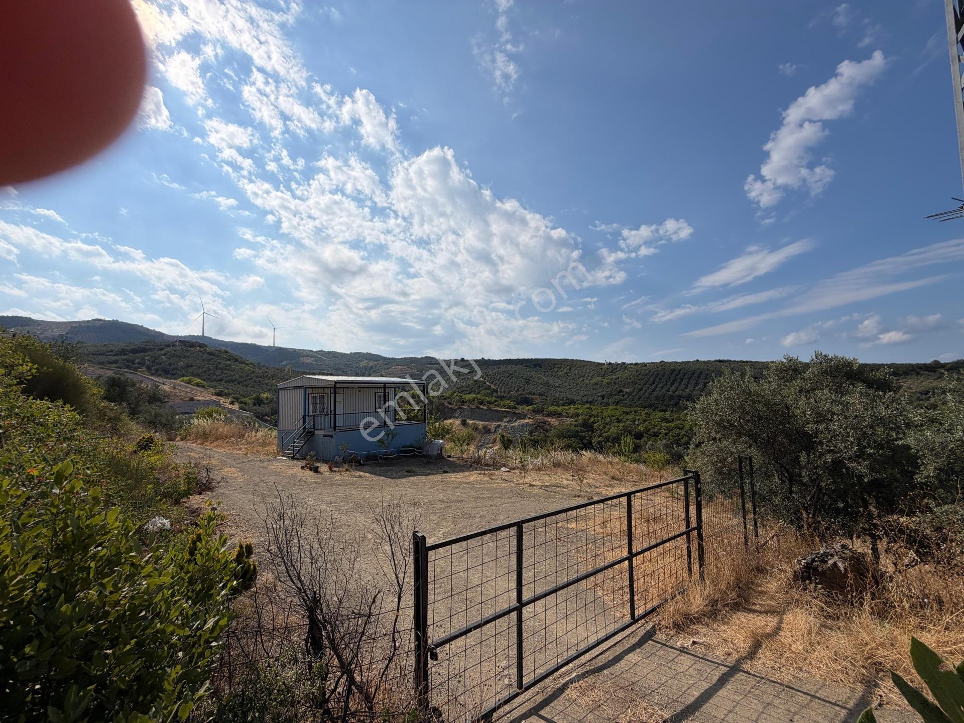Tırpan Gayrimenkulden Çepnide 1.819m2 Deniz Manzaralı Zeytinlik — fotoğraf 18