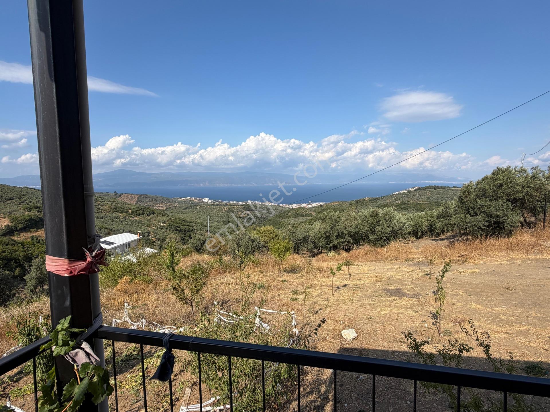 Tırpan Gayrimenkulden Çepnide 1.819m2 Deniz Manzaralı Zeytinlik — fotoğraf 23