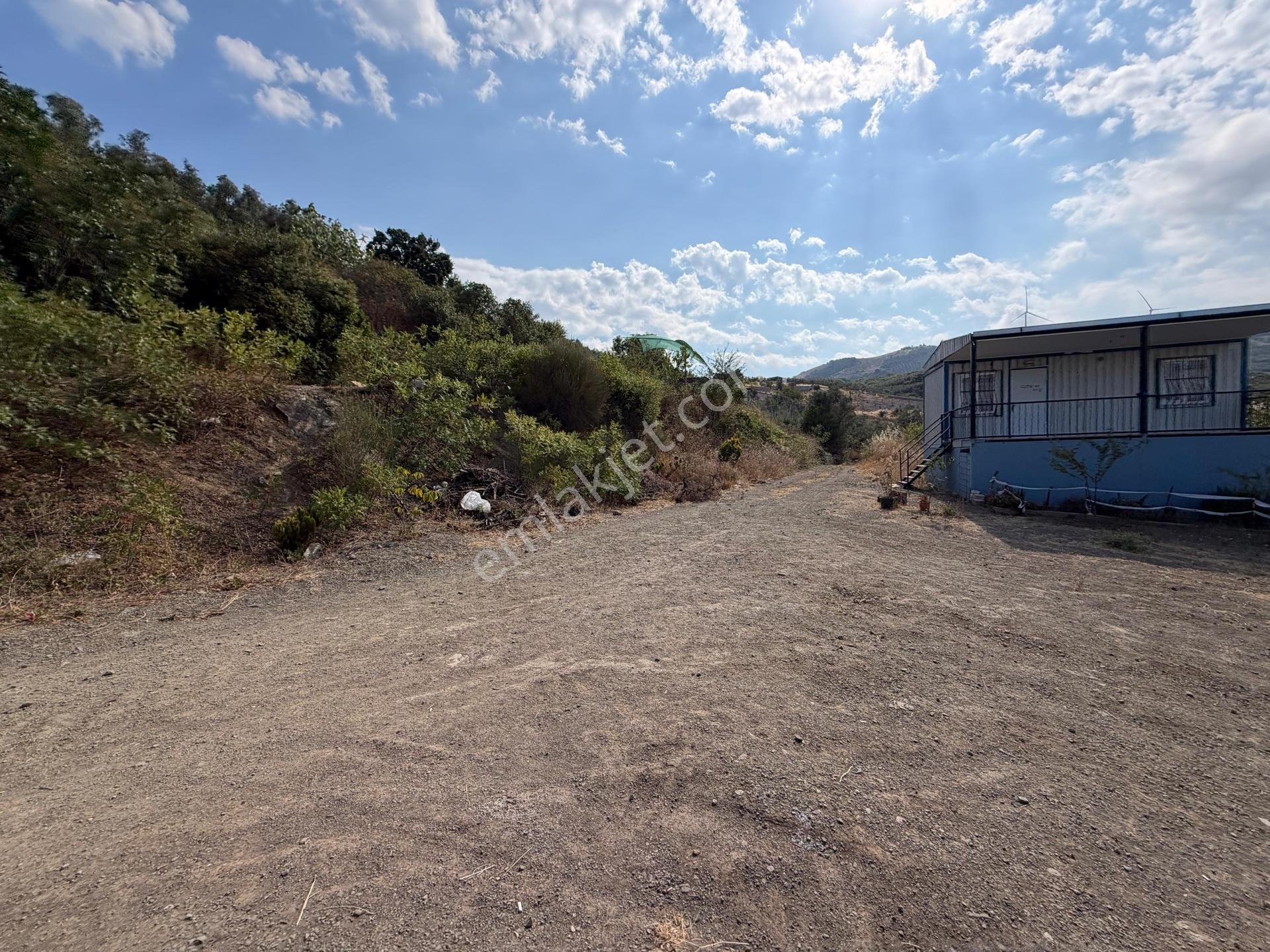 Tırpan Gayrimenkulden Çepnide 1.819m2 Deniz Manzaralı Zeytinlik — fotoğraf 24
