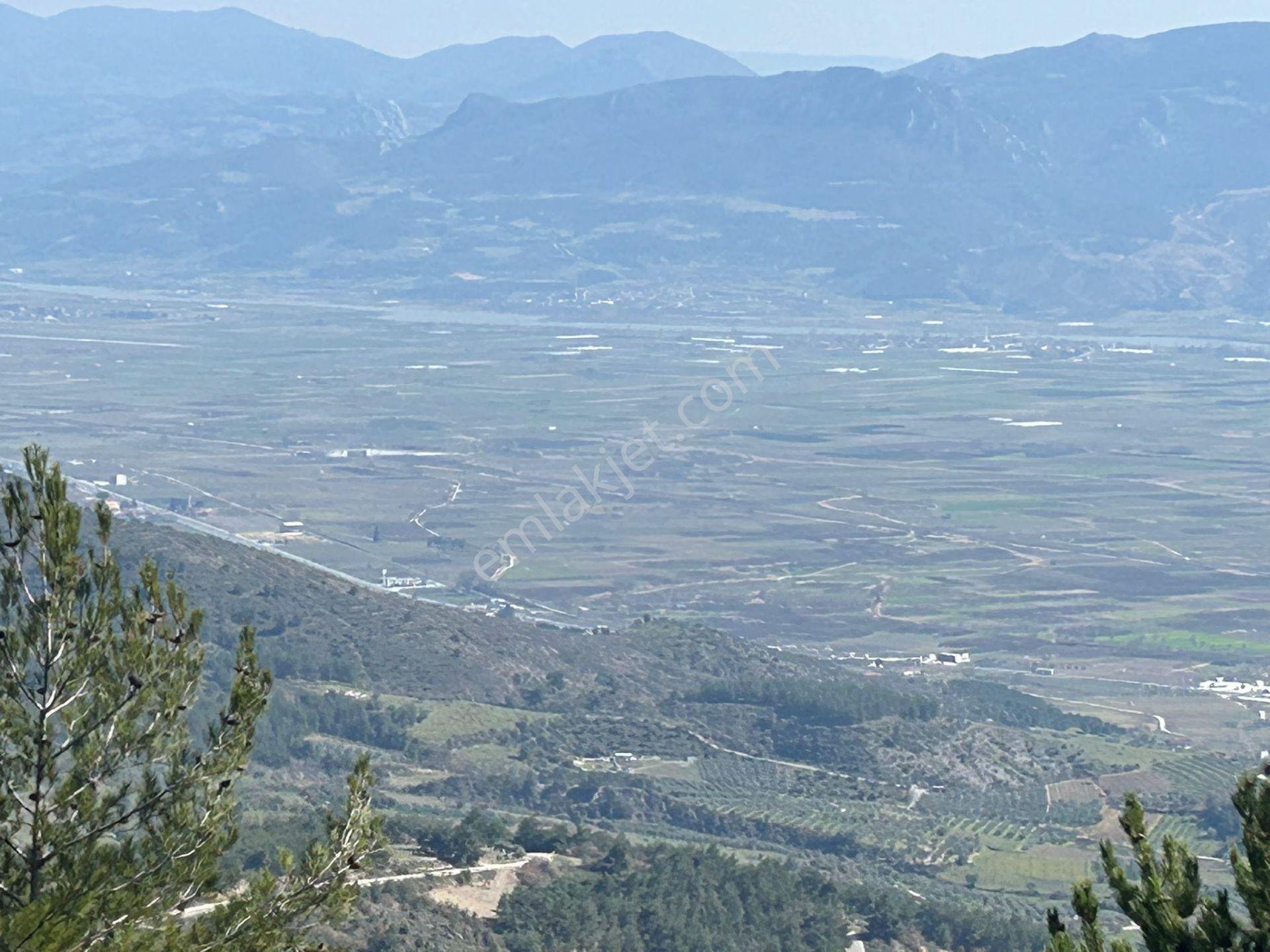 Pamukova Çileklide Resmi Yolu Olan Ova Manzaralı Satılık Tarla — fotoğraf 11