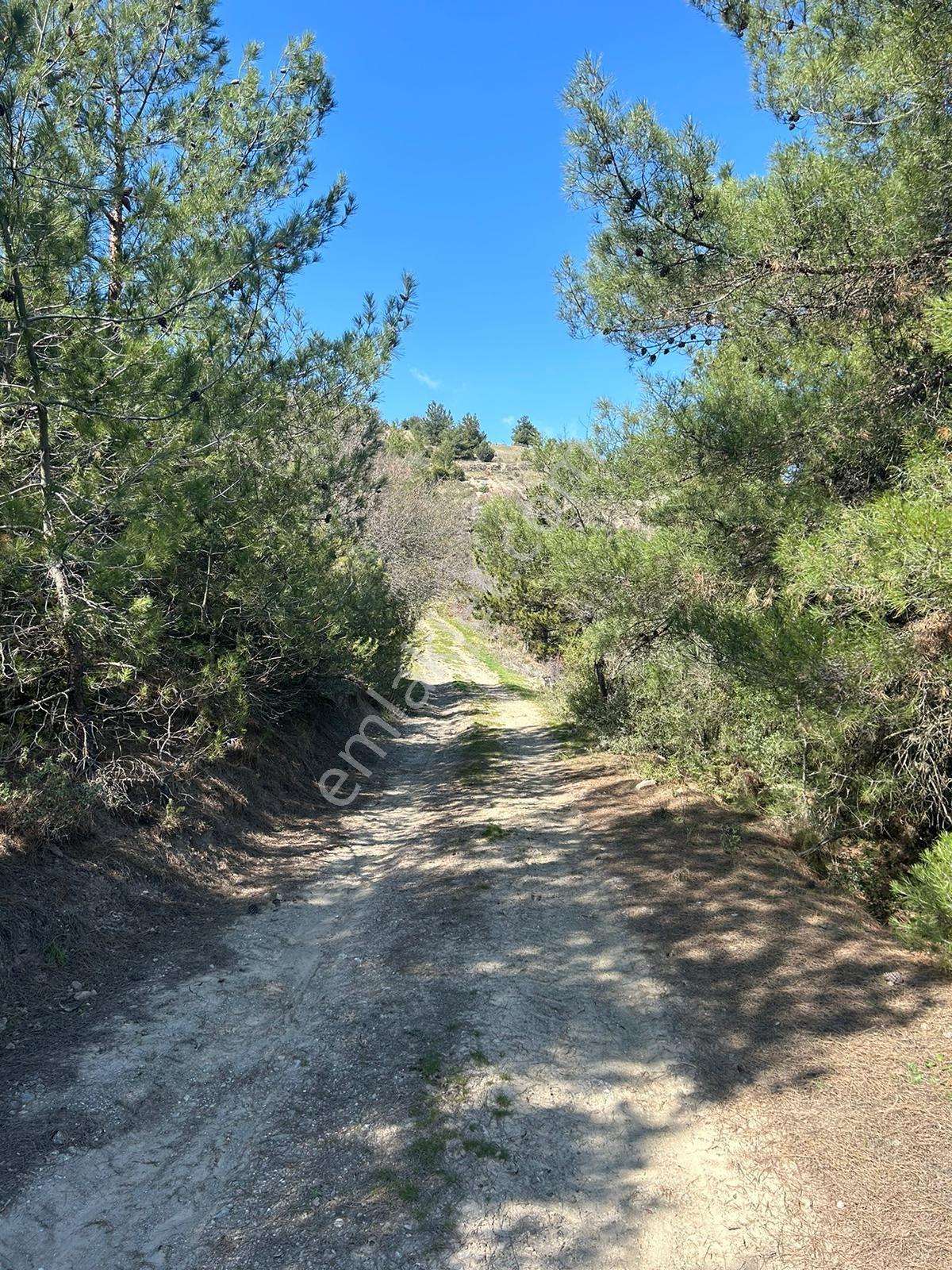 Pamukova Çileklide Resmi Yolu Olan Ova Manzaralı Satılık Tarla — fotoğraf 14