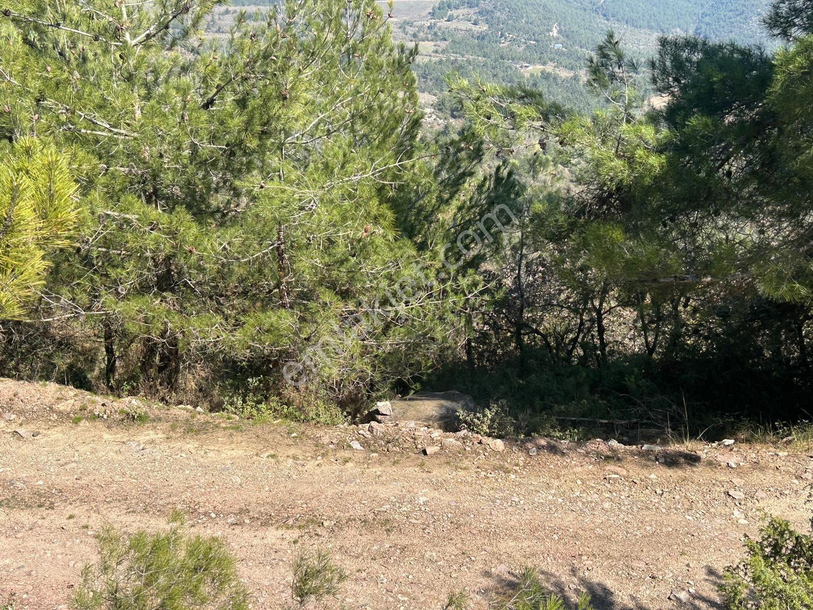 Pamukova Çileklide Resmi Yolu Olan Ova Manzaralı Satılık Tarla — fotoğraf 18