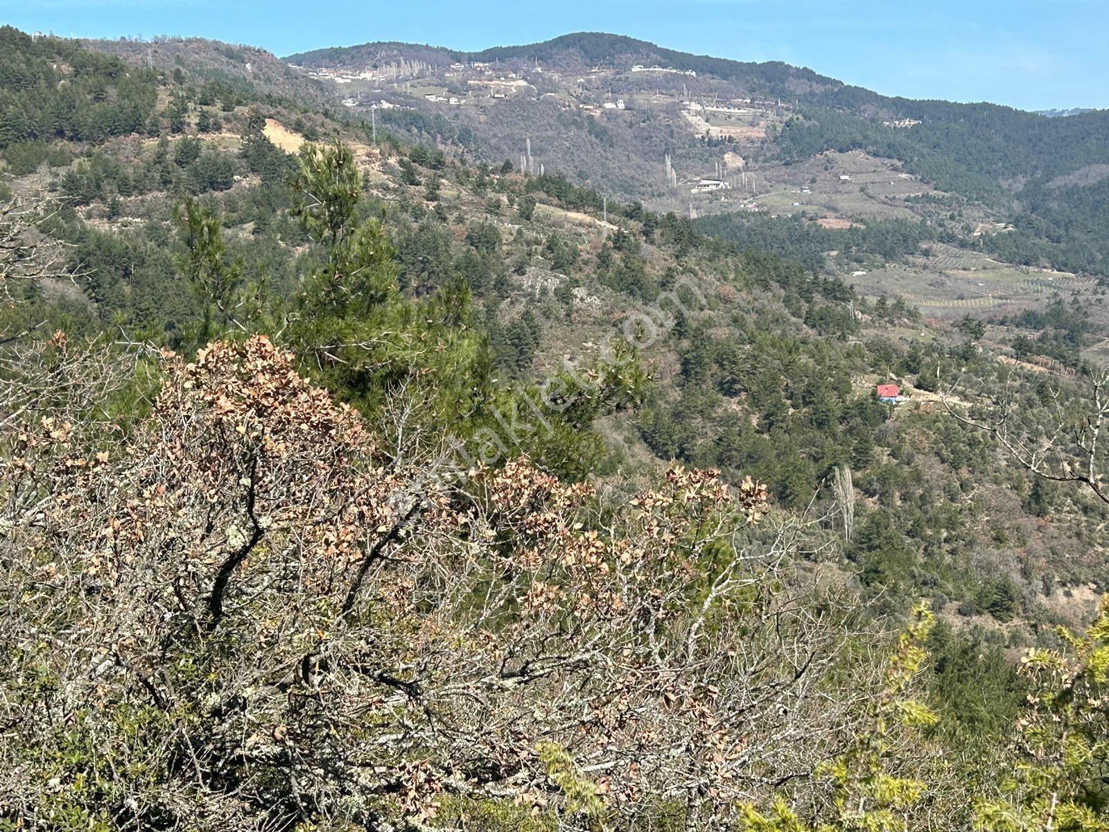 Pamukova Çileklide Resmi Yolu Olan Ova Manzaralı Satılık Tarla — fotoğraf 25