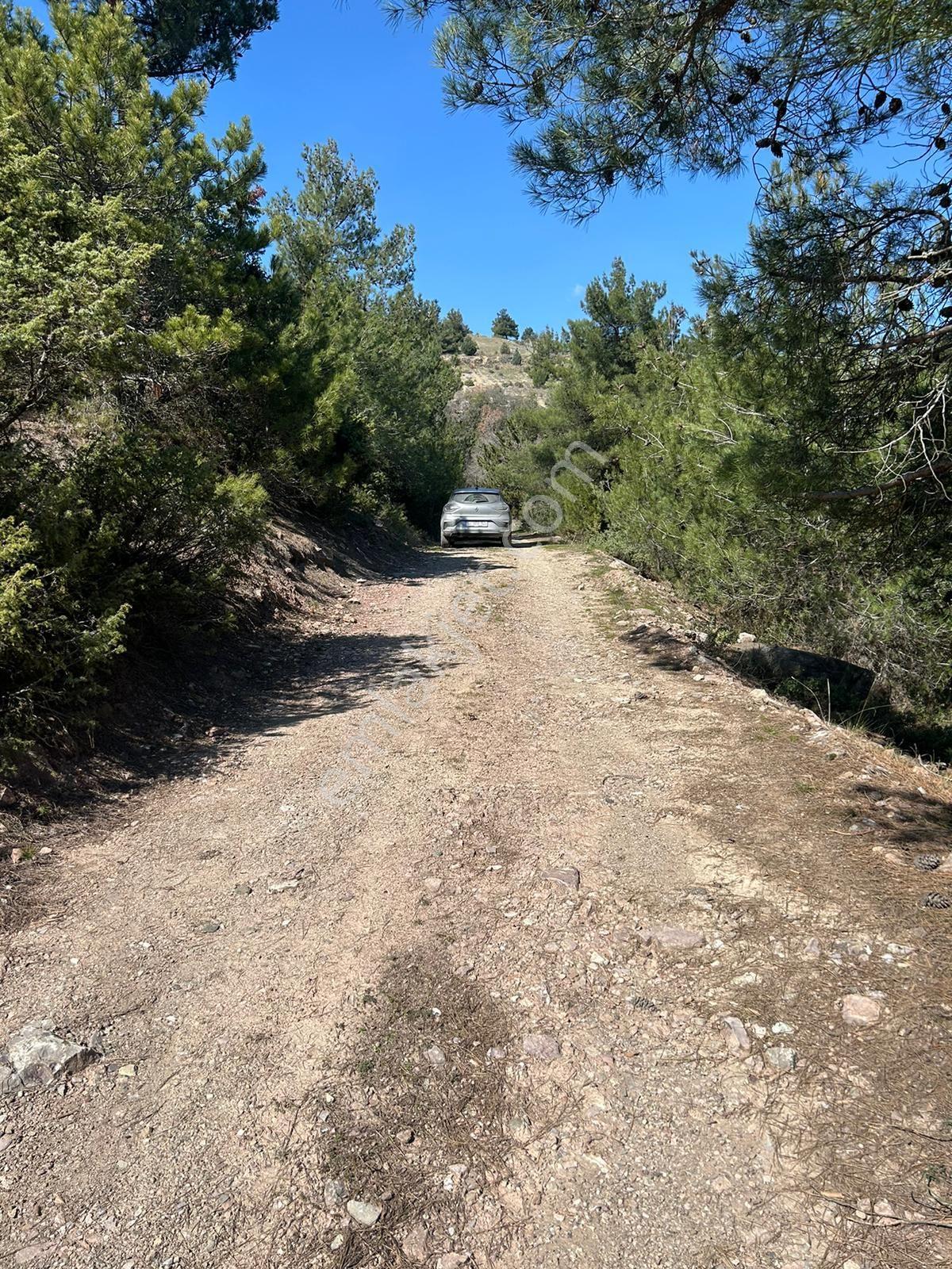 Pamukova Çileklide Resmi Yolu Olan Ova Manzaralı Satılık Tarla — fotoğraf 27