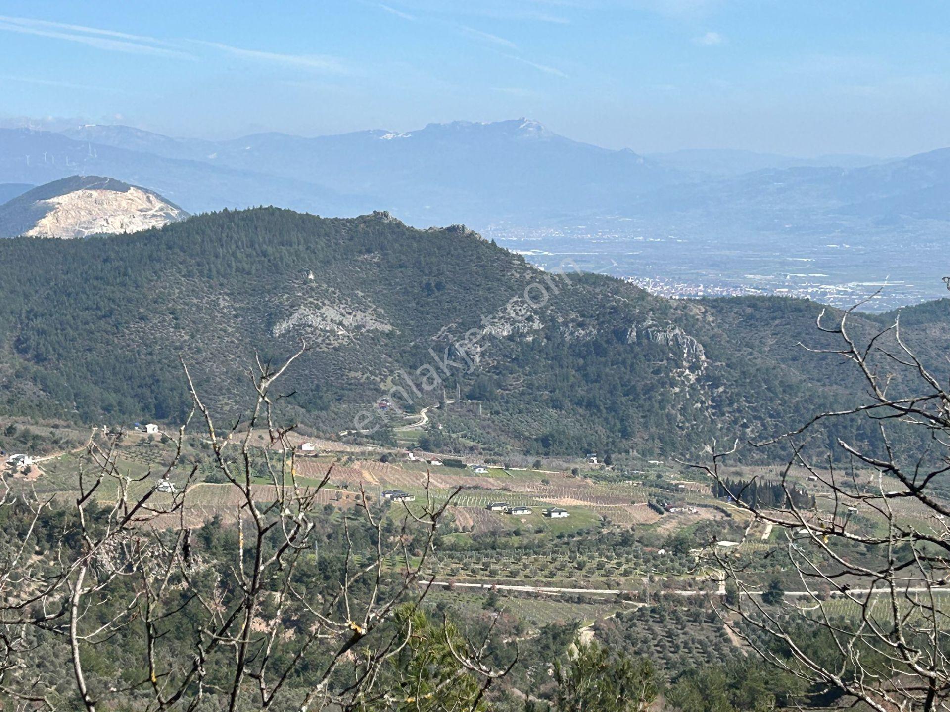 Pamukova Çileklide Resmi Yolu Olan Ova Manzaralı Satılık Tarla — fotoğraf 35