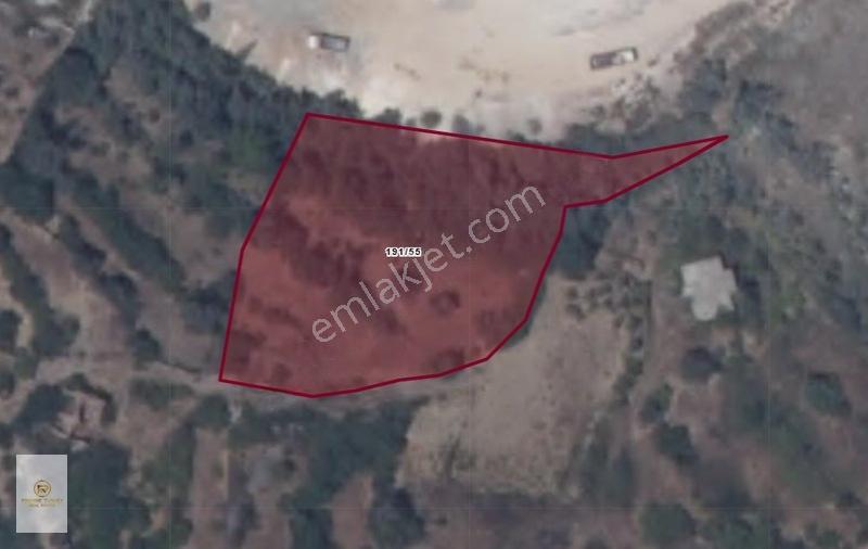 Alanya Uğrak'ta Satılık 3.306 M² Tarla - Yatırımlık Fırsat — fotoğraf 2