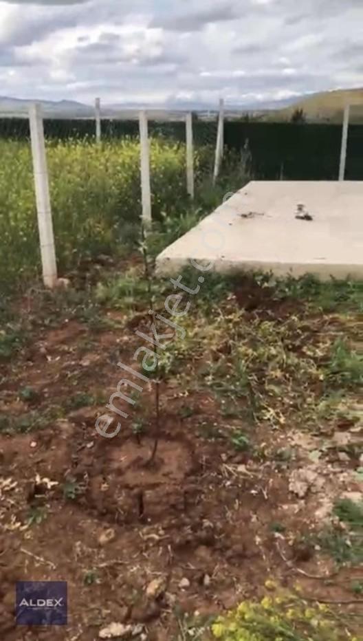 Temelli'de Tapulu 300 M2 Hobi Bahçesi, Su Basmanı, Elekt. Su Var — fotoğraf 3