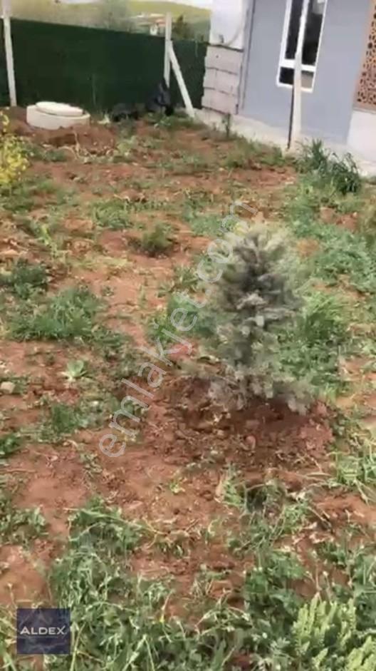 Temelli'de Tapulu 300 M2 Hobi Bahçesi, Su Basmanı, Elekt. Su Var — fotoğraf 5