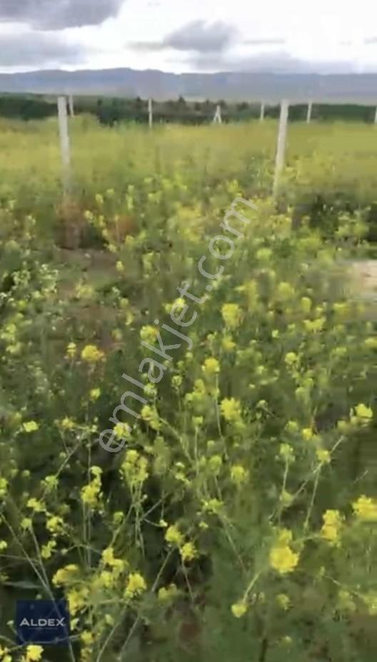 Temelli'de Tapulu 300 M2 Hobi Bahçesi, Su Basmanı, Elekt. Su Var — fotoğraf 9