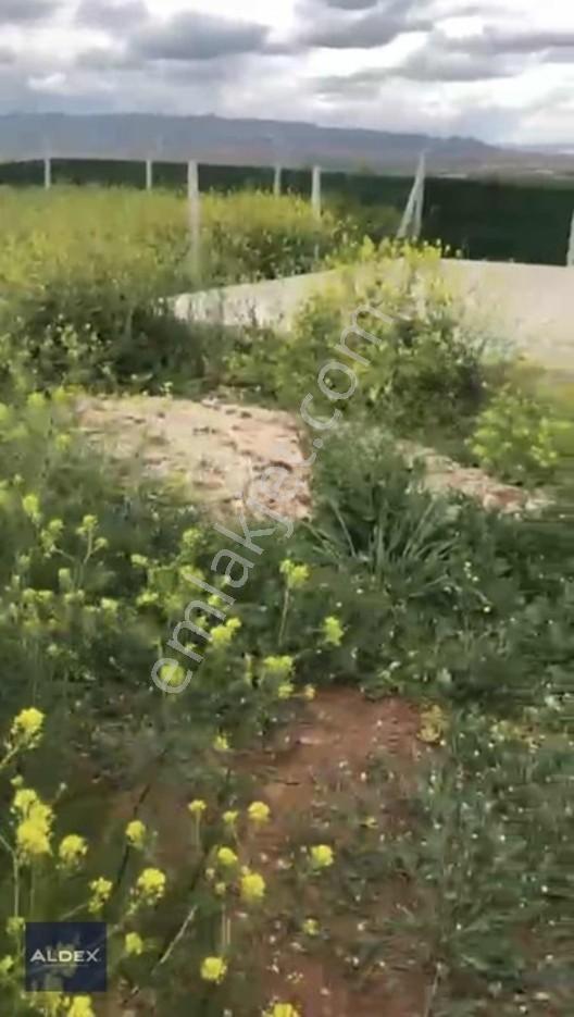 Temelli'de Tapulu 300 M2 Hobi Bahçesi, Su Basmanı, Elekt. Su Var — fotoğraf 10