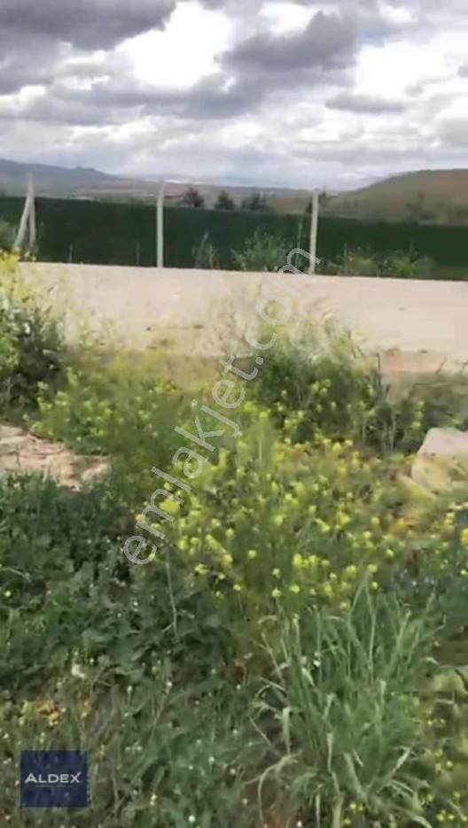 Temelli'de Tapulu 300 M2 Hobi Bahçesi, Su Basmanı, Elekt. Su Var — fotoğraf 11