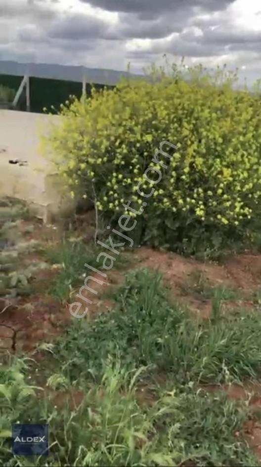 Temelli'de Tapulu 300 M2 Hobi Bahçesi, Su Basmanı, Elekt. Su Var — fotoğraf 13