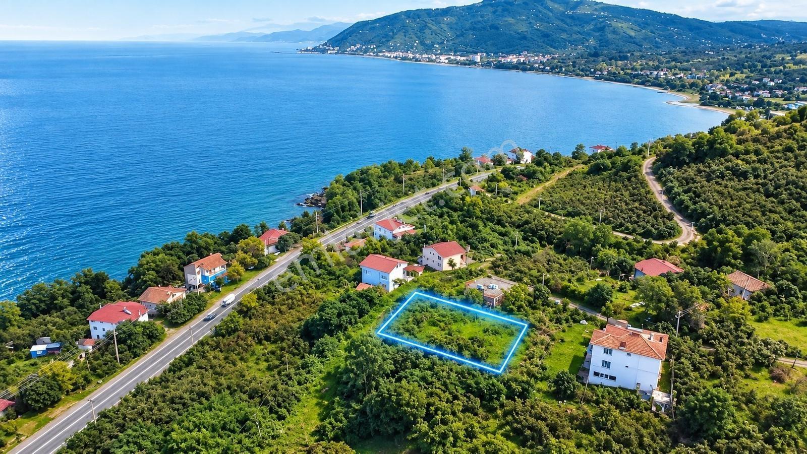 Vestha'Dan Perşembe Çerli'De Fırsat 836M2 Satılık Arsa!!!