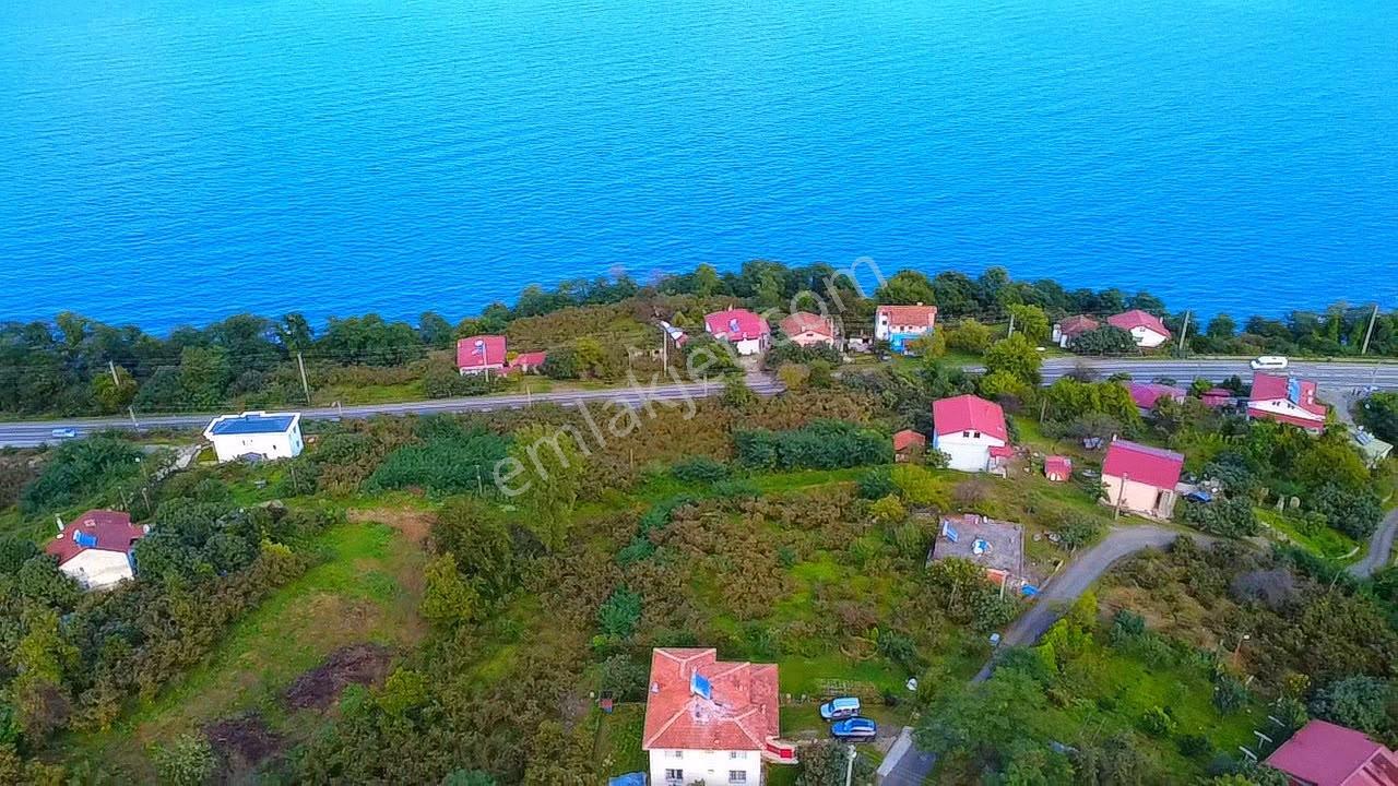 Vestha'dan Perşembe Çerli'de Fırsat 836m2 Satılık Arsa!!! — fotoğraf 2