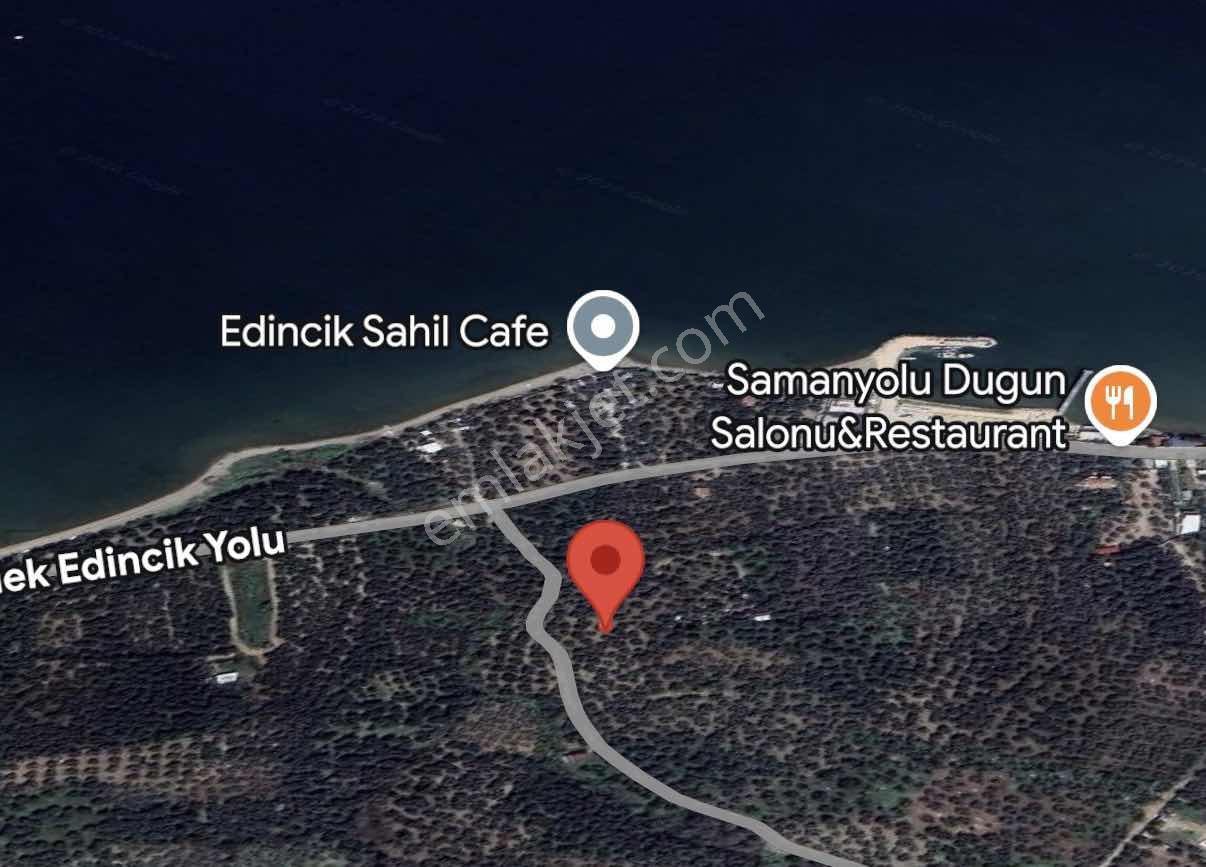 Bandırma Da Denize 200 Metre Yatırımlık Satılık Zeytinlik — fotoğraf 2