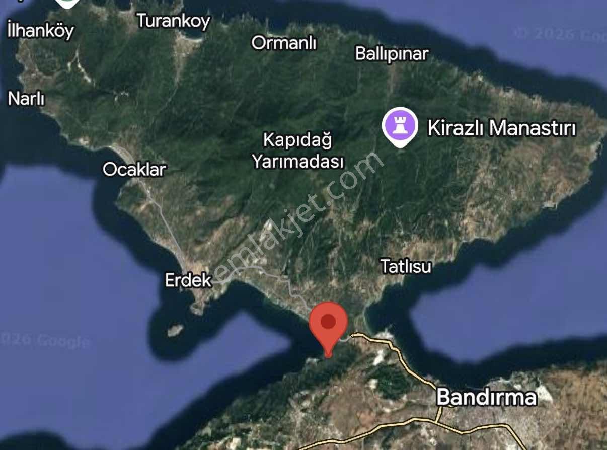 Bandırma Da Denize 200 Metre Yatırımlık Satılık Zeytinlik — fotoğraf 3
