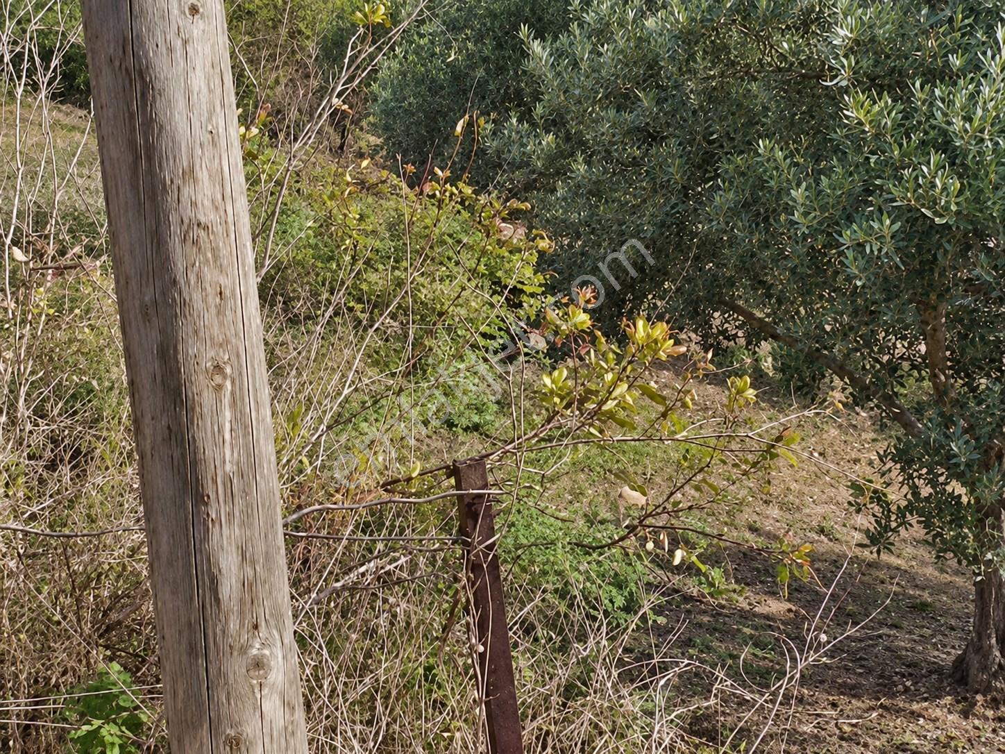 Ekinlik Adası Denize 100 Mt Temeli Hazır Satılık İmarlı Arsa — fotoğraf 9