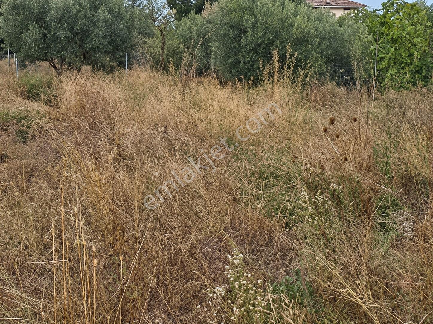 Ekinlik Adası Denize 100 Mt Temeli Hazır Satılık İmarlı Arsa — fotoğraf 16