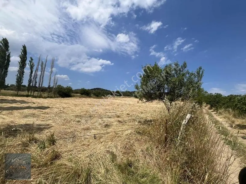 Burhaniye Pelitköyde Satılık Fırsat Arazi — fotoğraf 3