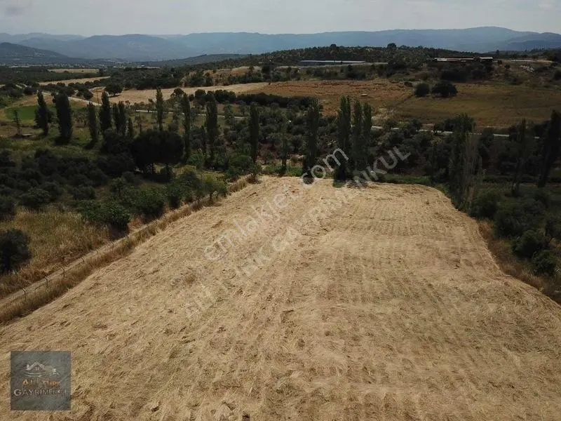 Burhaniye Pelitköyde Satılık Fırsat Arazi — fotoğraf 5