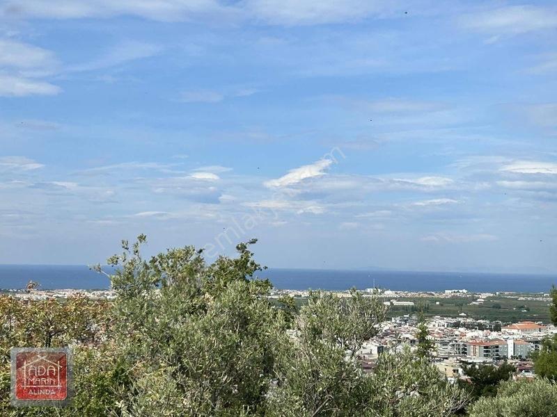Kuşadasında Çevre Yoluna 100 Mt Mesafede 106 Dönüm Dev Arazi — fotoğraf 2