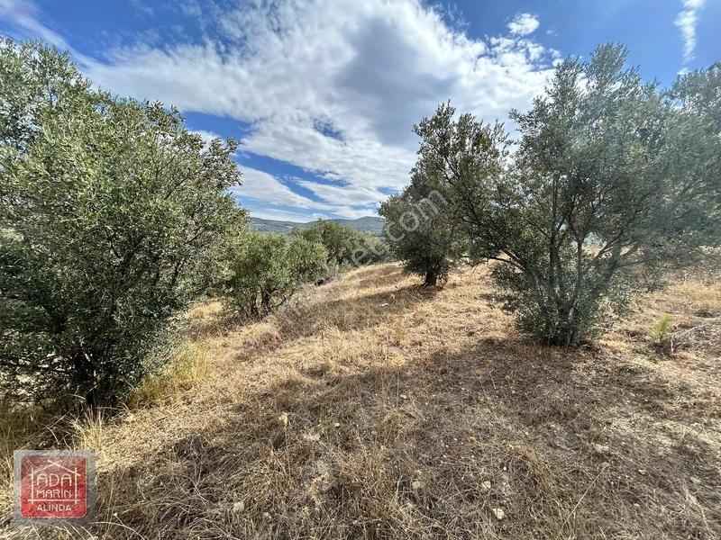 Kuşadasında Çevre Yoluna 100 Mt Mesafede 106 Dönüm Dev Arazi — fotoğraf 9