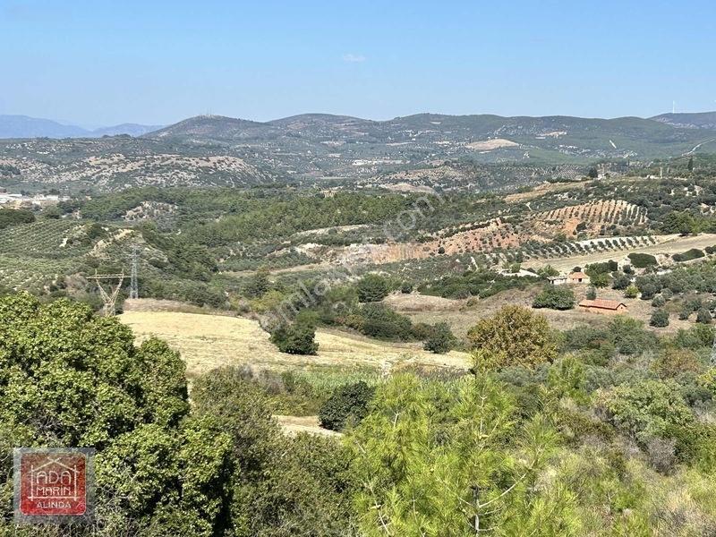Kuşadasında Çevre Yoluna 100 Mt Mesafede 106 Dönüm Dev Arazi — fotoğraf 10