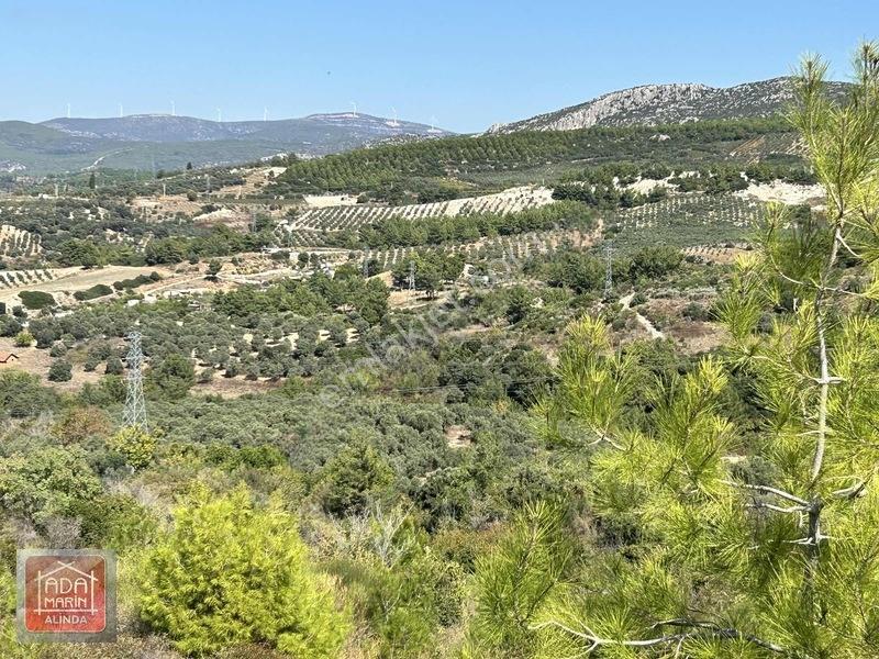 Kuşadasında Çevre Yoluna 100 Mt Mesafede 106 Dönüm Dev Arazi — fotoğraf 11
