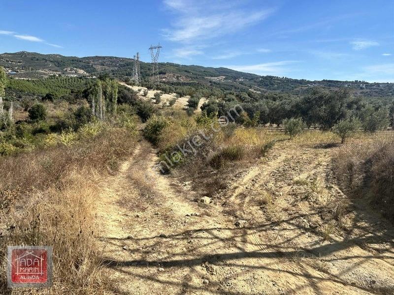 Kuşadasında Çevre Yoluna 100 Mt Mesafede 106 Dönüm Dev Arazi — fotoğraf 14