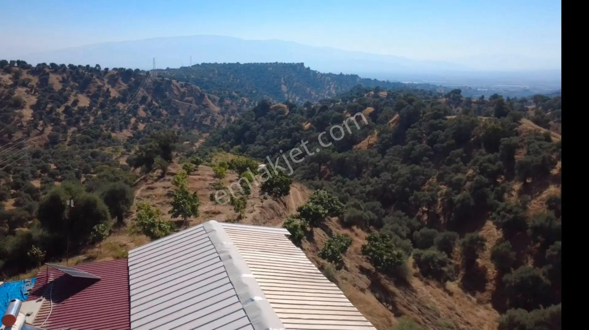 Nazilli İsabeyli'de 27.000 M² Satılık Zeytinlik Ve Bağ — fotoğraf 17