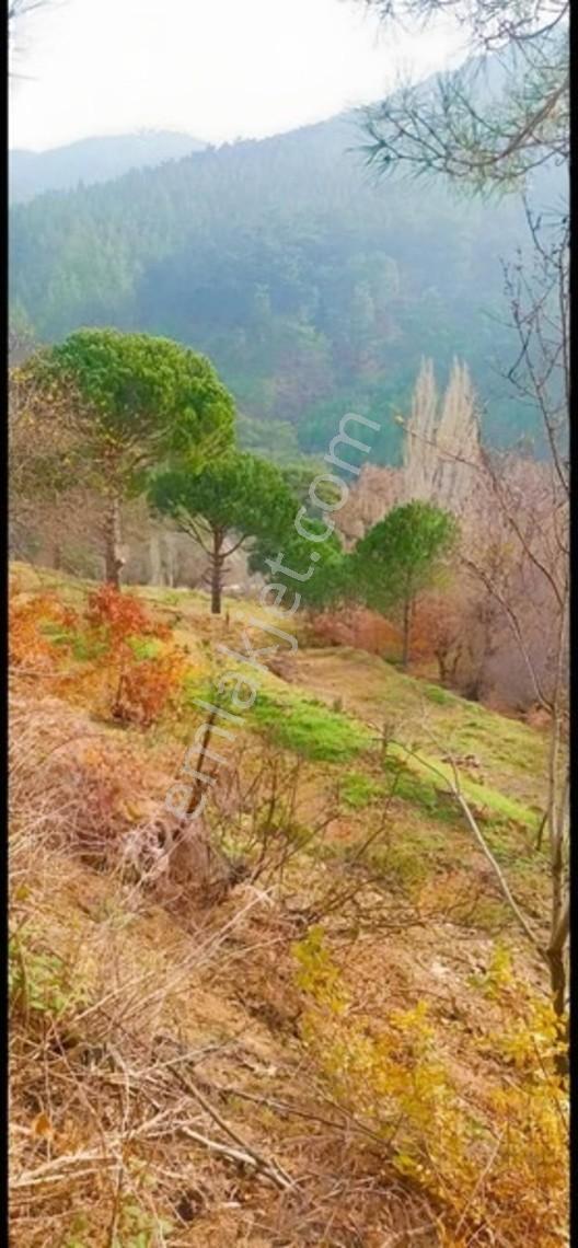 Oruçlar Mahallesı Satılık Tarla — fotoğraf 2