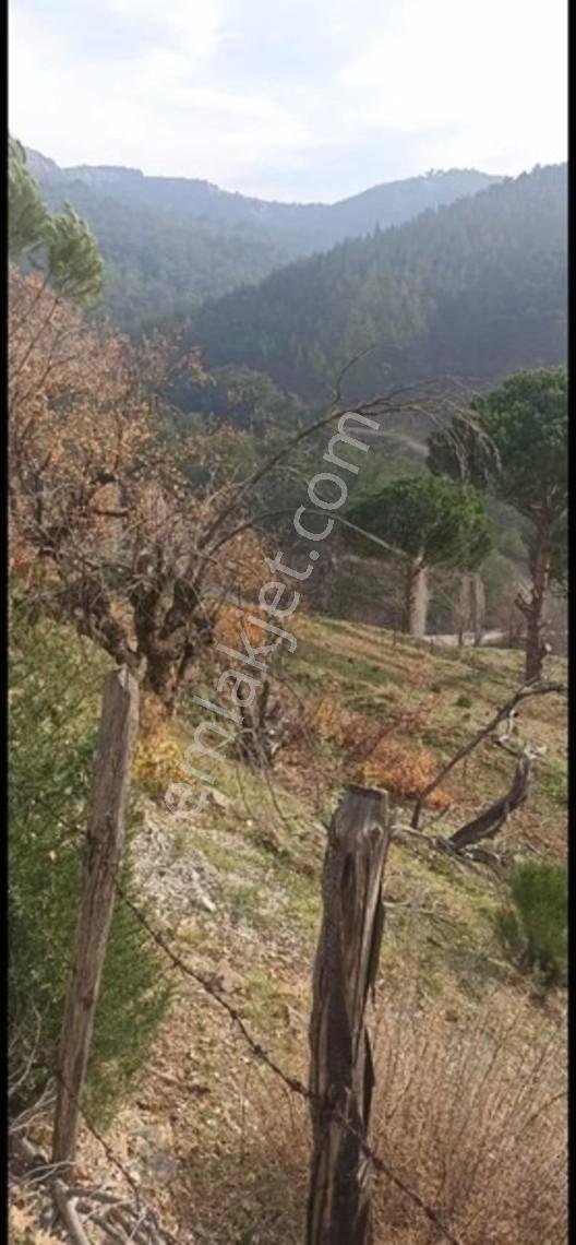 Oruçlar Mahallesı Satılık Tarla — fotoğraf 5
