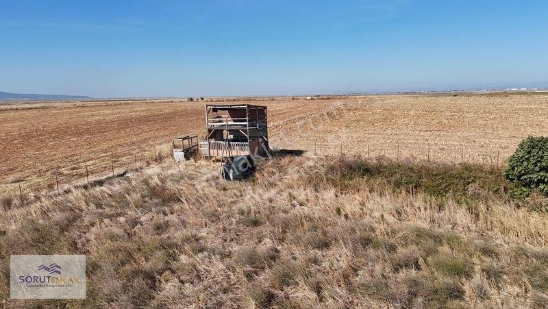 İpsala Kocahıdır Köyünde Satılık 4930m2 Tarla — fotoğraf 4