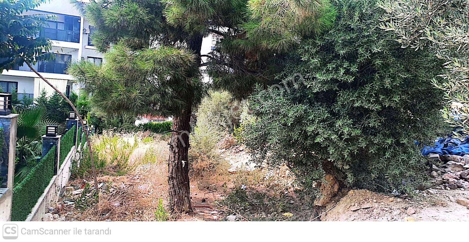 Kuşadası Ege Mahallesi'nde Satılık Arsa — fotoğraf 5