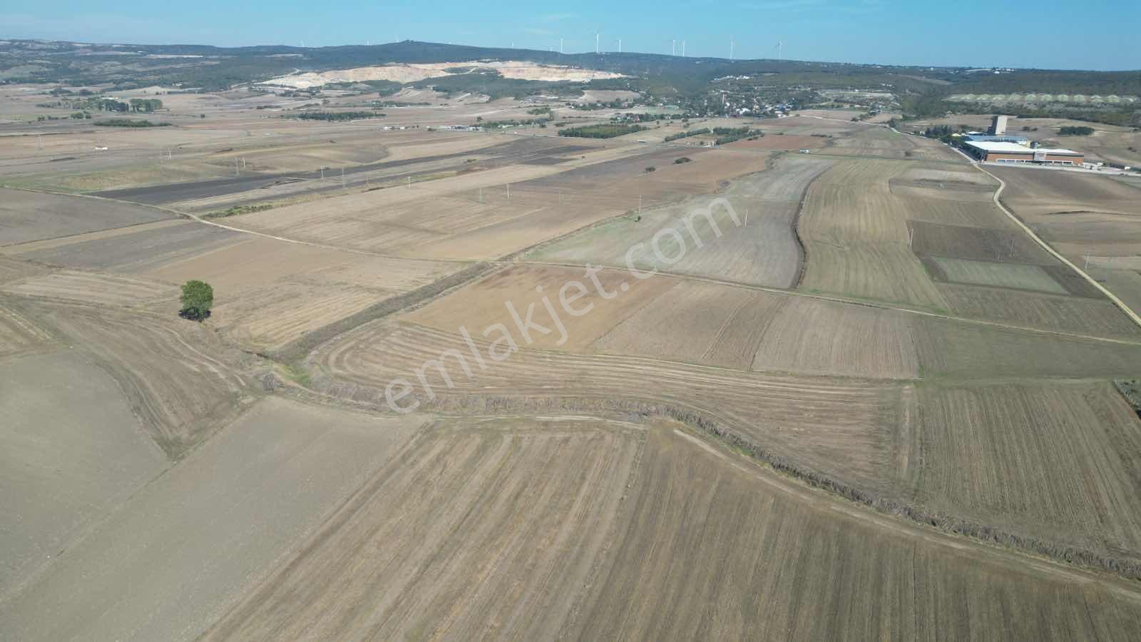 Vize Okçular'Da 16.500 M2 Tek Tapu