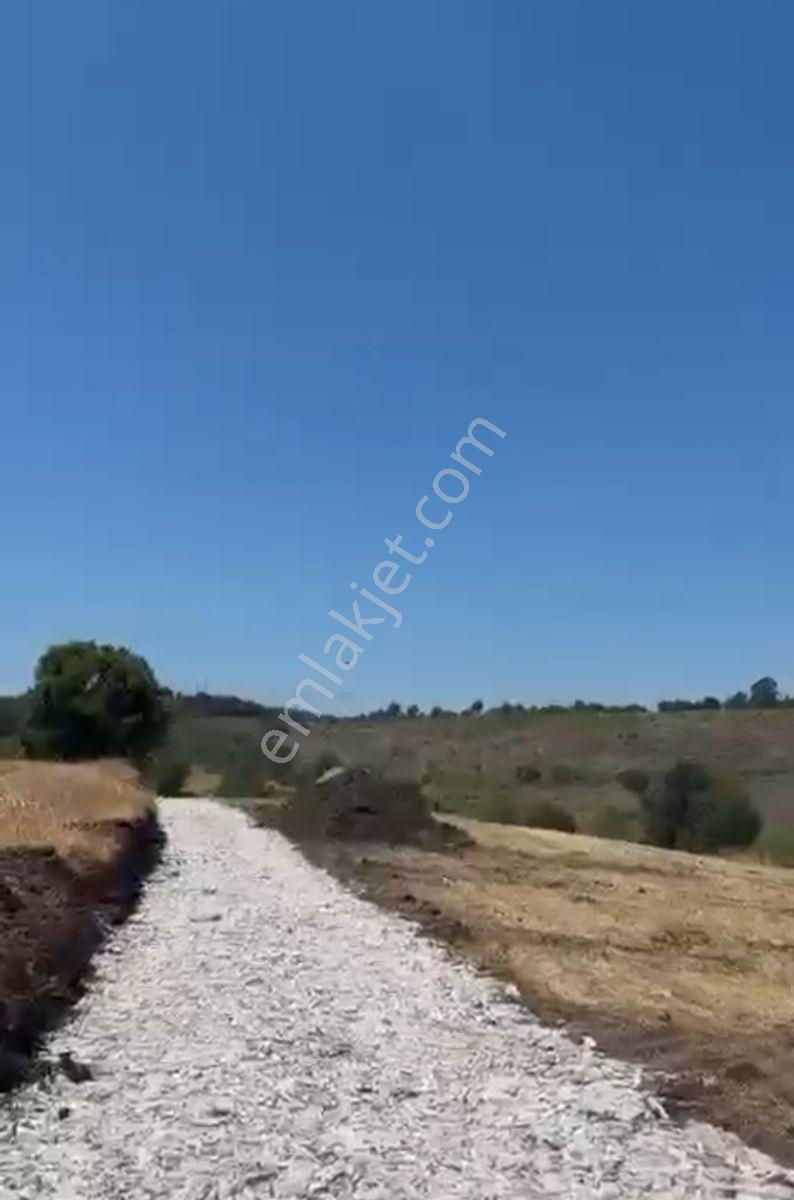 Bursa Kemalpaşa Da Satılık Tarla