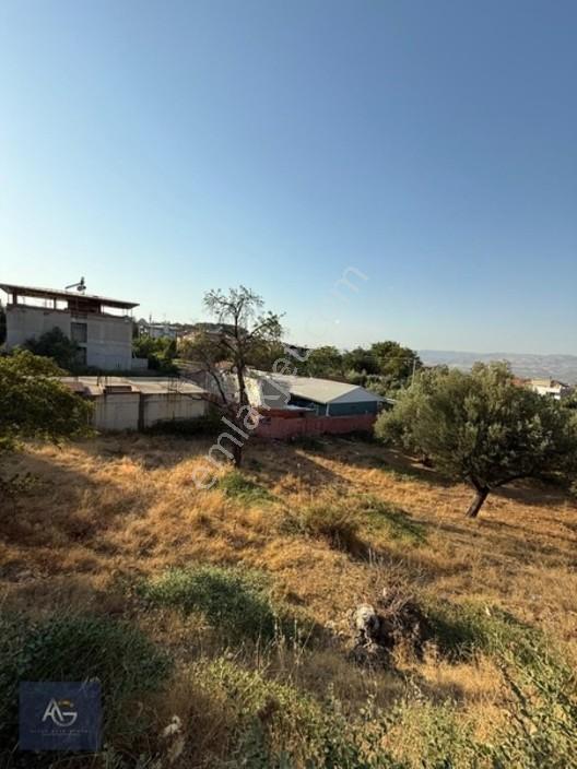 Alper Gayrimenkulden Şeyhsinan Mah.437 M2 Müstakil 3 Kat İmar — fotoğraf 3