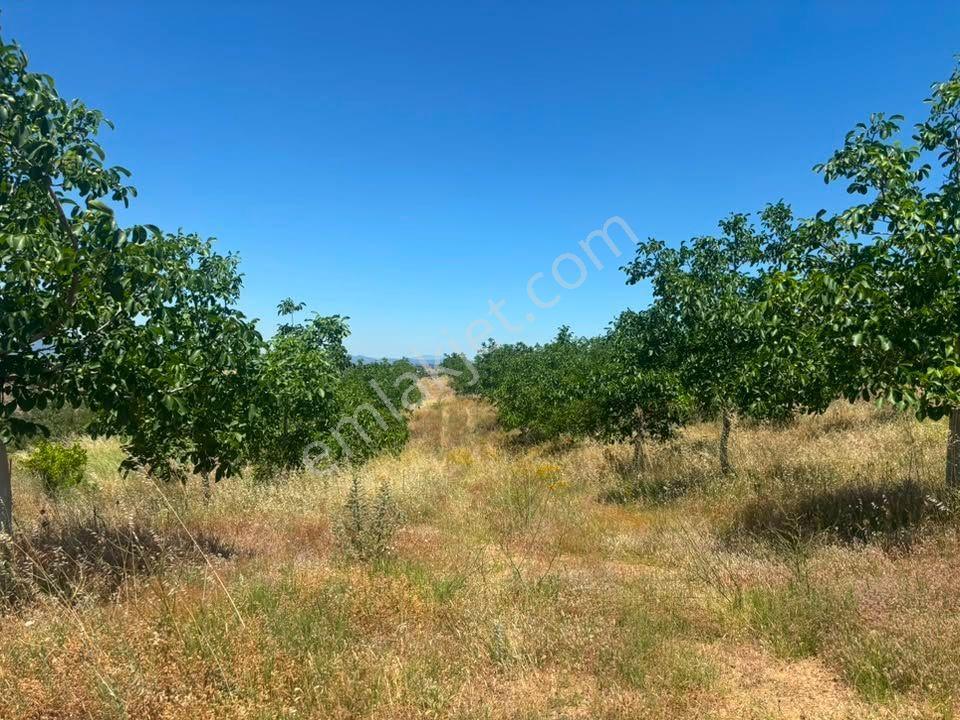 Tc Emlaktan Satılık ​ Toplam 220 Dönüm Araziii — fotoğraf 4