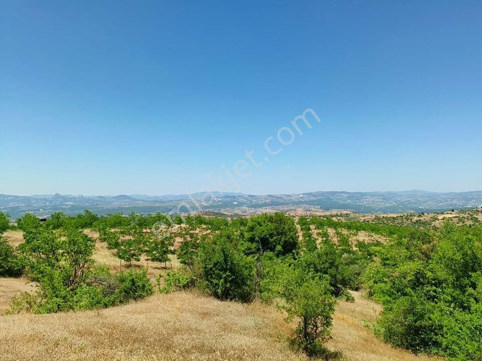 Tc Emlaktan Satılık ​ Toplam 220 Dönüm Araziii — fotoğraf 6